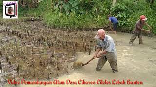 Puisi untuk Ayah 'TERIMA KASIH AYAH DARI PUTRIMU'  ( Cip.Wulan Mudmud )