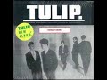 TULIP Primary Color ライブ 1987
