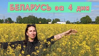 Поехали с нами! Будет Здорово) Семейный Влог / Доступный Туризм