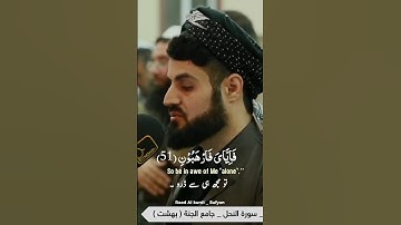 وما بكم من نعمة فمن الله...| سورة النحل|Raad Al kurdi Whatsapp status with Urdu English translation