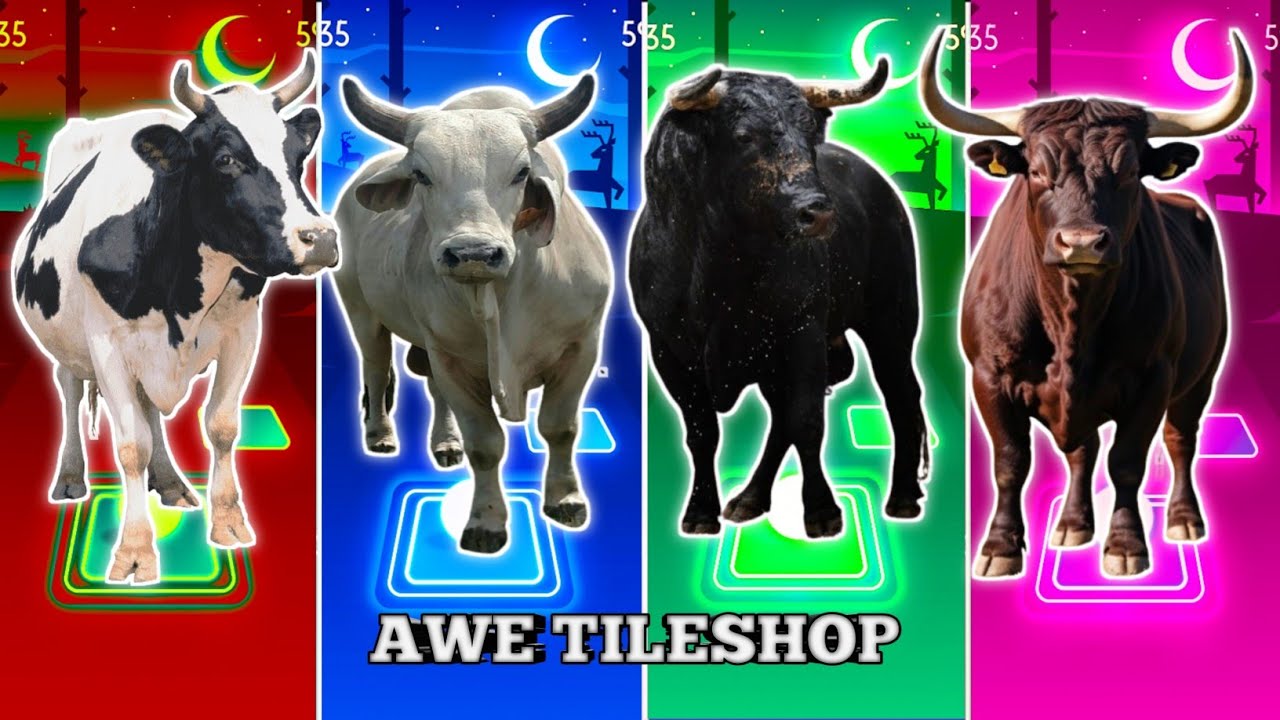 Funny Cow 🐄🆚 Funny Cow White 🐄🆚 Funny Bull 🐂🆚 Funny Bull brown 🐂|Coffin Dance Tiles Hop 🪩🌈🔥🎊