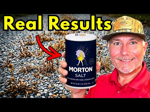 KILL Weeds FAST & Stop Them For Good!