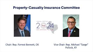 2024 Annual Meeting: Property-Casualty Insurance Committee