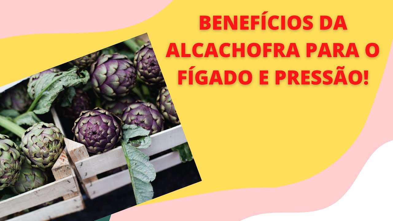 ALCACHOFRA E SEUS BENEFÍCIOS PARA O FÍGADO E PRESSÃO ARTERIAL PASSO A ...