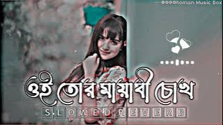 Oi Tor Mayabi Chokh | ওই তোর মায়াবী চোখ | (Slowed Reverb) Bangla Lofi Song | Bangla Song 2023