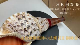 法螺貝（ほら貝）販売のお店