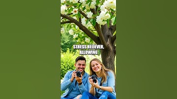 Understanding the Impact of Shared Hobbies on Relationship Satisfaction