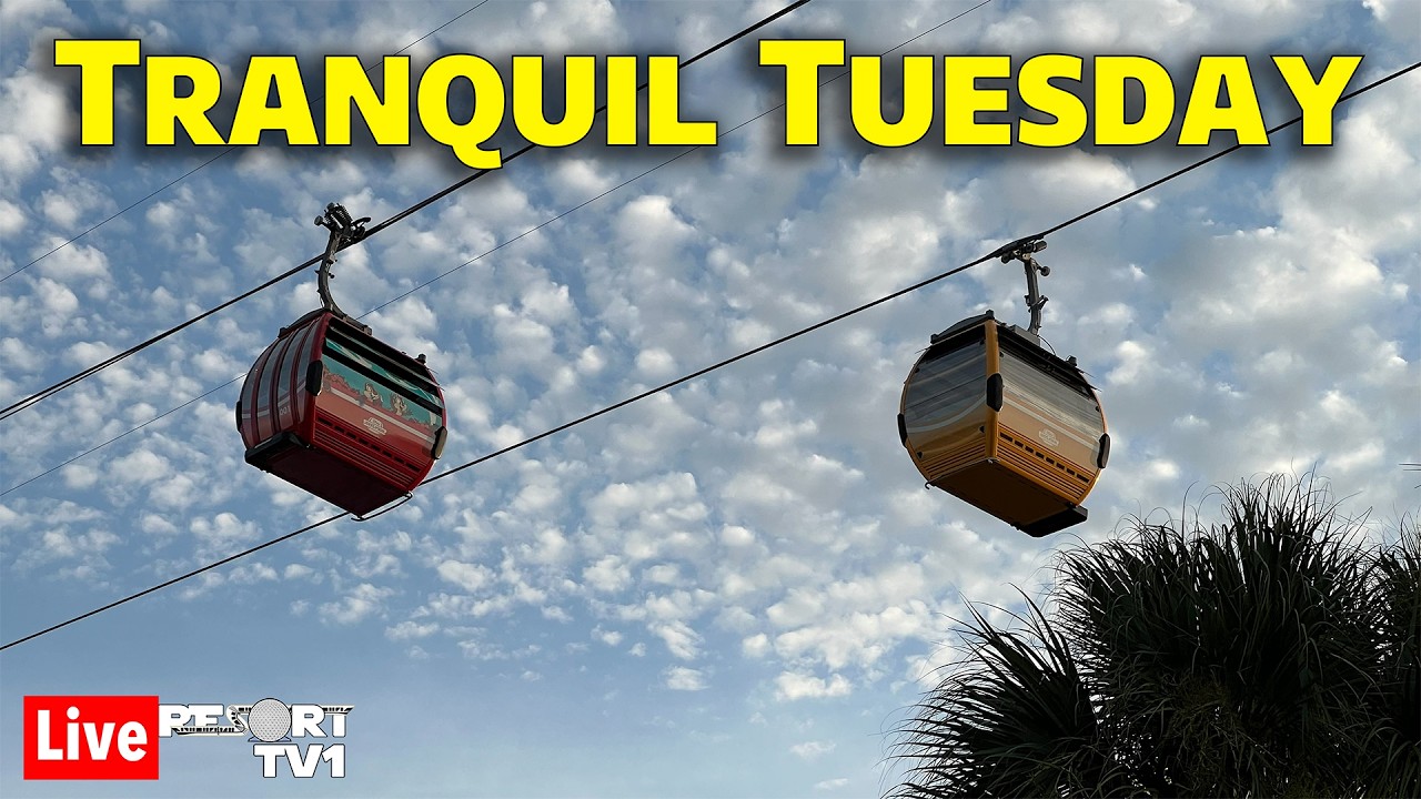🔴Live: Tranquil Tuesday - A Relaxing Evening on the Disney Skyliner - 4-7-26 - Walt Disney World