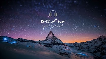 سورة محمد 12-15 بصوت القارئ هزاع البلوشي 💙 #قرآن#explore#quran#الصف_الثاني_عشر#2024