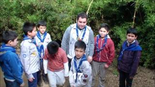 31 FRASES TIPICAS DE LA MANADA