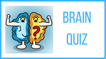 Brain Quiz level 1.0-1.9 Android Gameplay