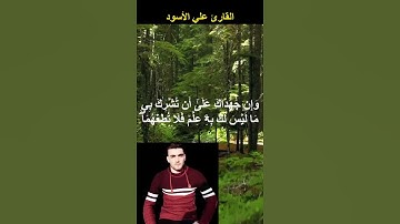 تلاوة ندية من سورة لقمان بصوت علي الأسود #القرآن_الكريم #quran