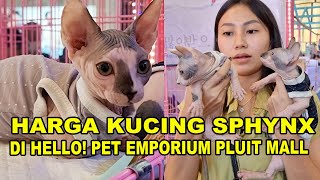 Harga Kucing Sphynx Di Hello! Pet Emporium Pluit Mall