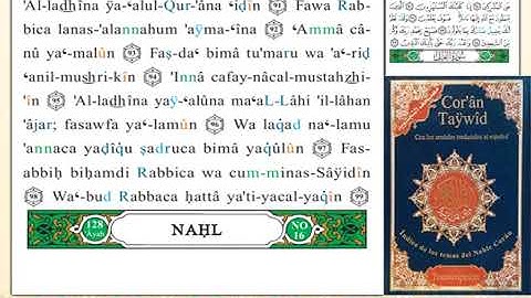ختمة من مصحف التجويد باللغة الإسبانية الصفحة رقم 267