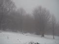 Köd (The Fog) - Székelyvarság • Vărșag • Varsag - Sólyomkő - 2012 Január