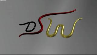 DSW logo [animated]