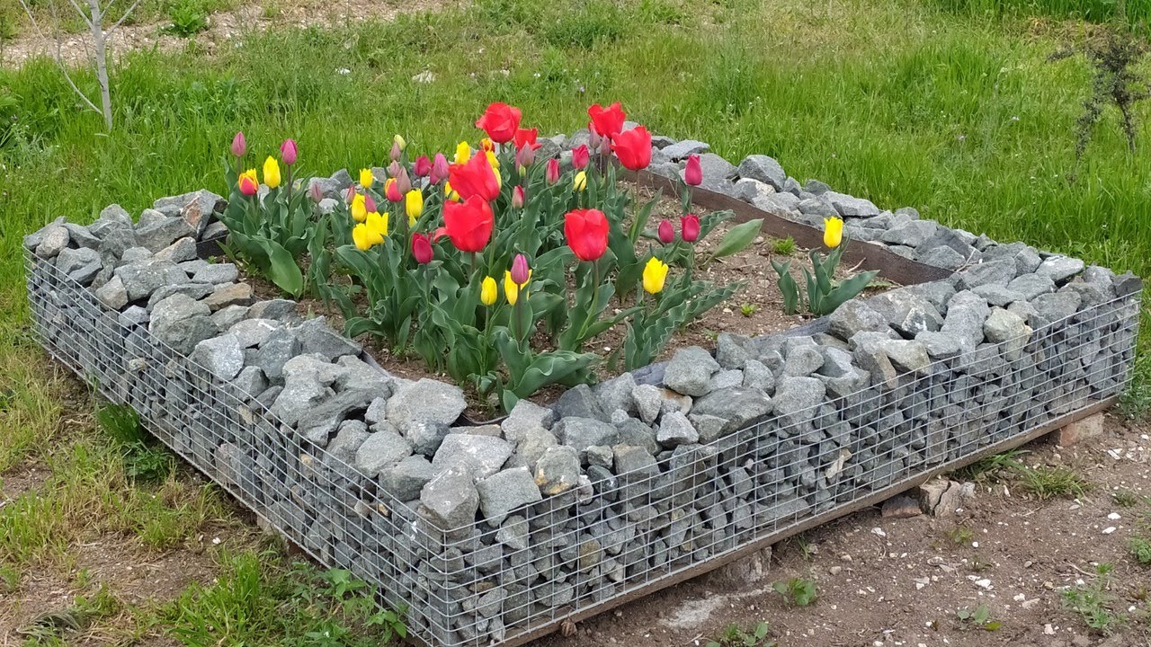 Тимашевске домокомплекты ландшафт Тимашевске домокомплекты ландшафт