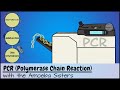 Unlocking the Secrets of PCR Technology and Its Impact on Science
