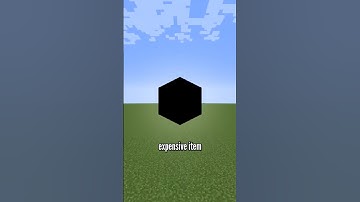 The most expensive Minecraft build...