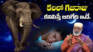 కలలో గజరాజు కనిపిస్తే జరిగేది ఇదే | Elephant In Dream Meaning In Telugu | Kalalo enugu Kanipisthe