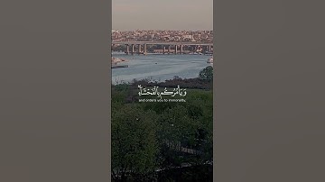غذاء الروح#explore #اكسبلور #راحة_نفسية #المصحف #quran #ترند #الرحمن #tiktok #تيك_توك #دويتو #تلاوات