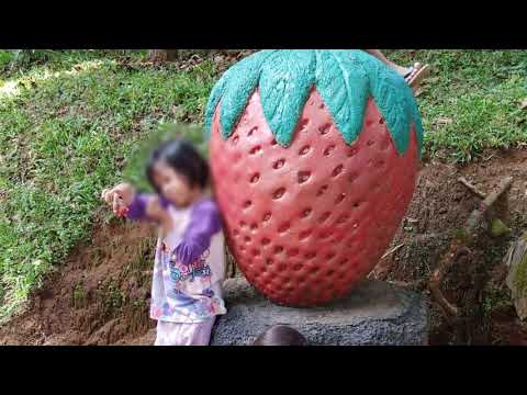 Sari Ater Camping Park Subang Jawa Barat Rusa 1 Youtube