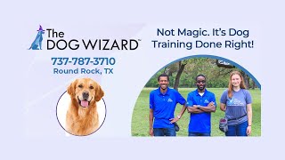The Dog Wizard