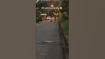 K9 unit in real life 😂 #codm #callofdutymobile #callofduty