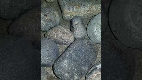 Agatized, and not so agatized,Whale bone fossils... and Agates California coast