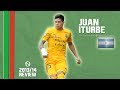 Juan iturbe  goals skills assists  hellas verona  20132014