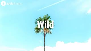 Vexento - Wild ( No Copyright Music )