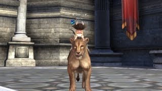 Tera HD: New Tawny Huntress Mount