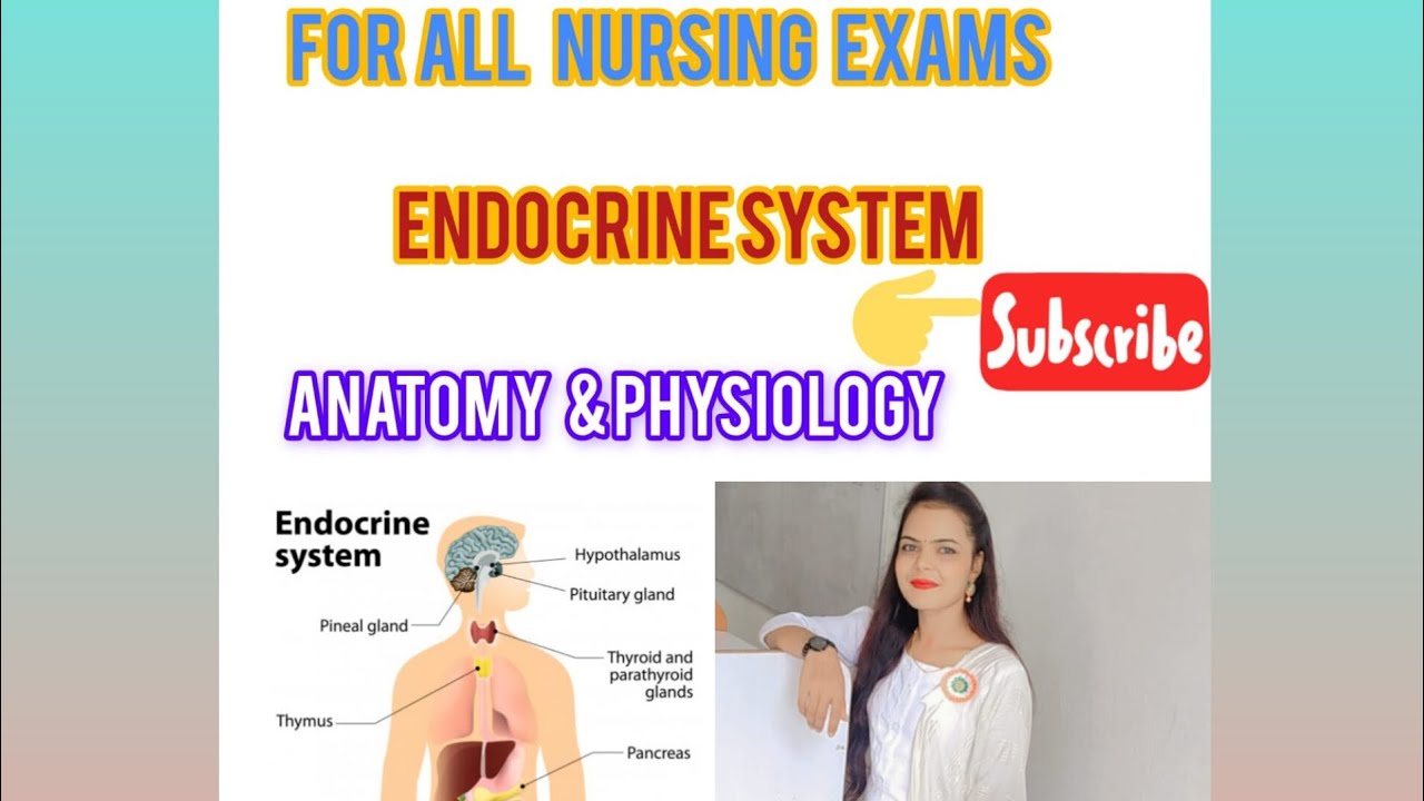 Endocrine system anatomy & physiology in Hindi || glands || function ...