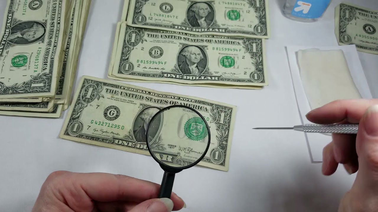 ASMR | Paper Money Counting, Sorting, Inspection - No Talking