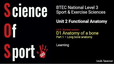 Unit 2 Functional Anatomy - D1 (Part 1) Long bone anatomy - Learning