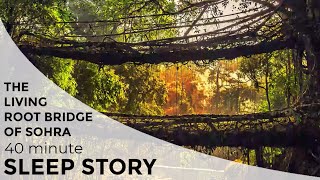 Living root bridges | Sohra - Sleep Stories screenshot 1