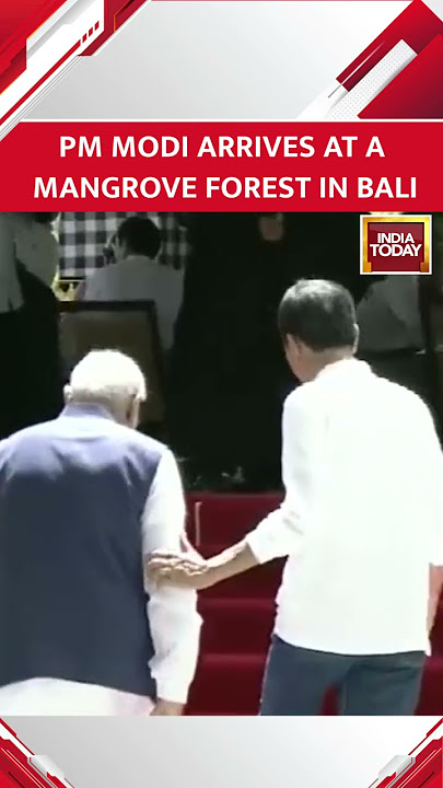 PM Modi Arrives At The G20 Summit Venue In Bali, Indonesia #shorts