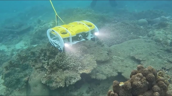 GLOBALink | AI, science bring marine ecosystem back to life on Chinese island