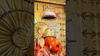 #sawariyaseth #sanwaliyaseth #dailydevotion #chanda_jetli_5671 #bhaktisong"