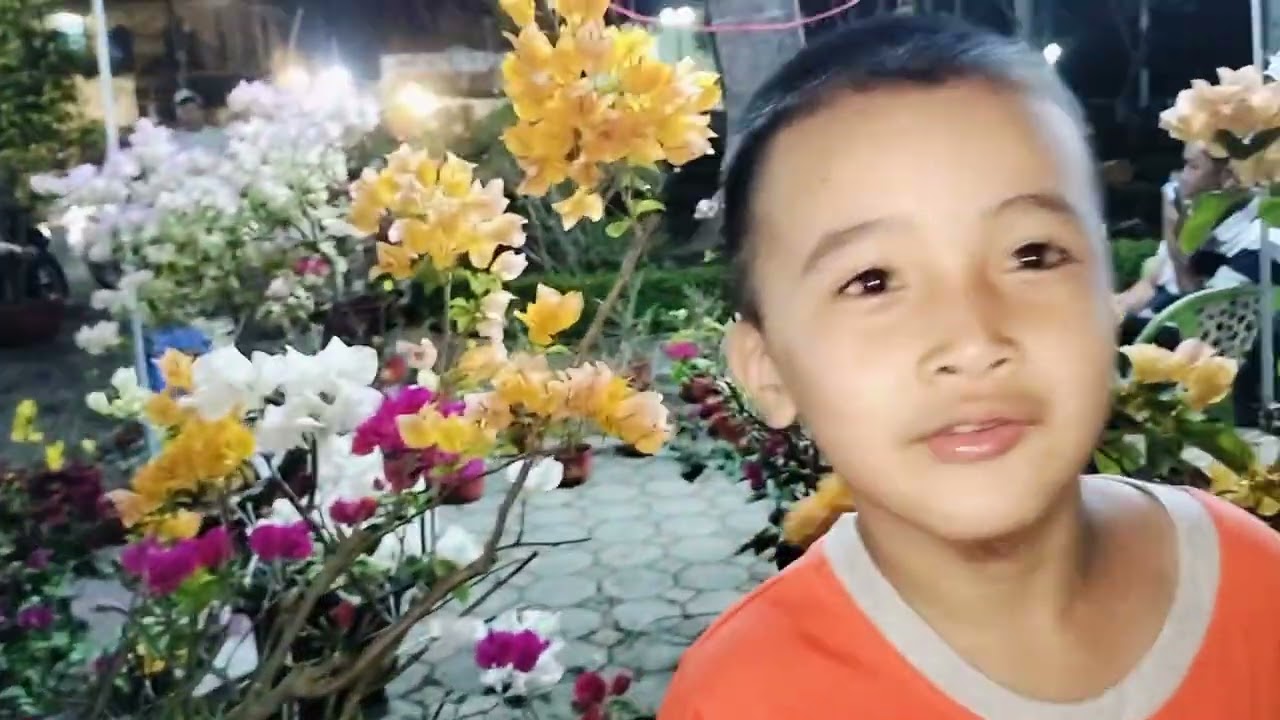 Một Góc Trà Ôn  Về Đêm Đẹp Lung Linh Nhộn Nhịp Ngày Tết | Quê Em Trà Ôn |