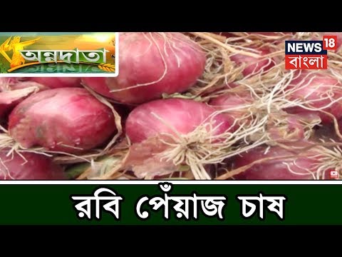 ভিডিও: আধুনিক রাশিয়ার সবচেয়ে সম্মানিত পেশা কোনটি?