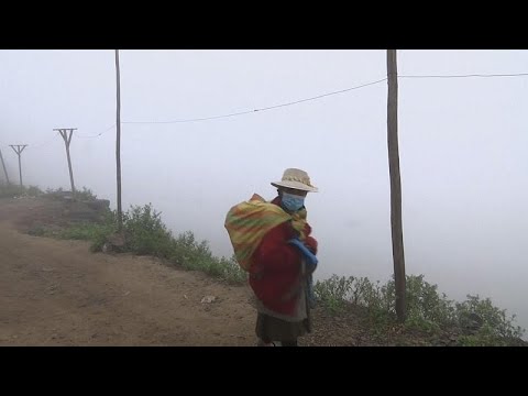 Fog catchers provide water to deserted hills of Lima