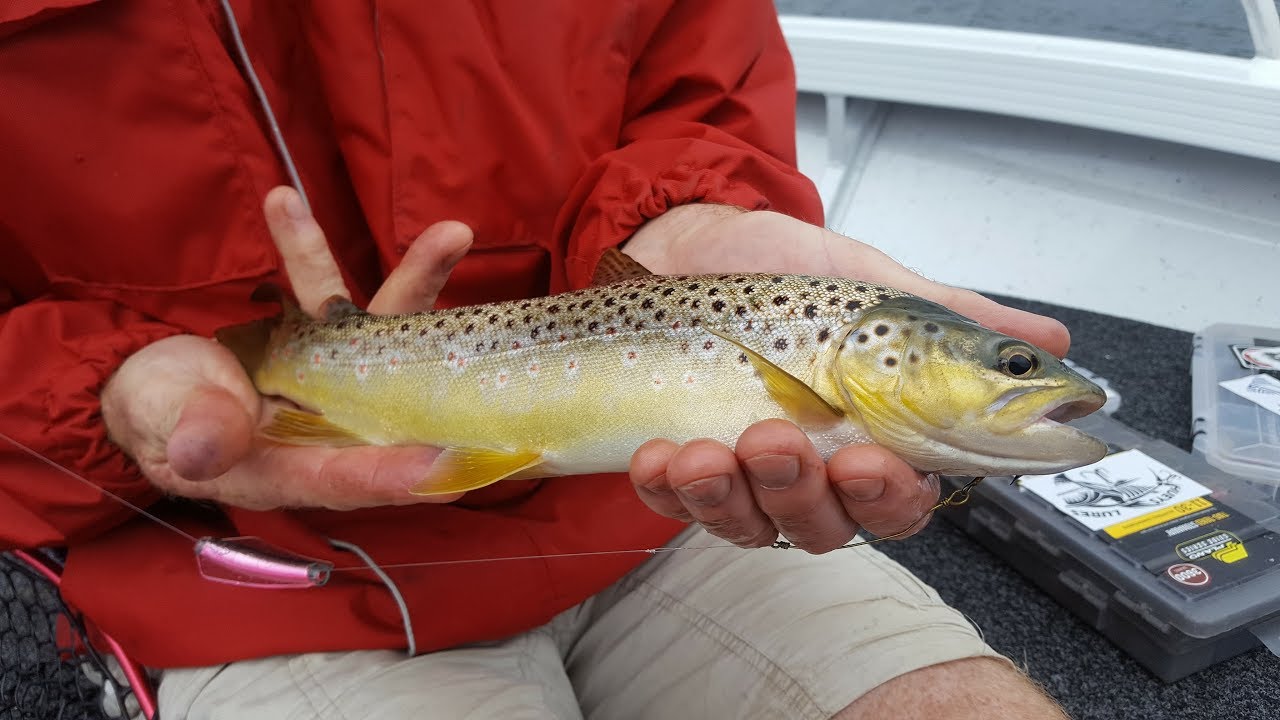 Woods Lake Trout fishing and camping adventure Tasmania YouTube