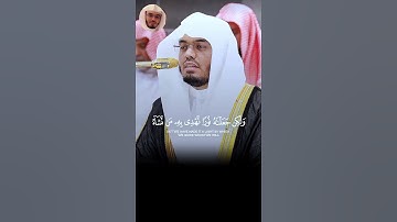 سورة الشورى القارى هو شيخ ياسر الدوسري