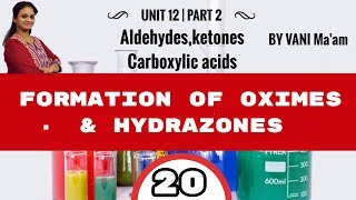 Formation of Oximes & Hydrazones| Part-20|Unit-12 |chem cbse-grade 12|Aldehydes chapter.