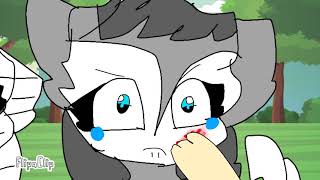 Pony Slap Willow Meme P