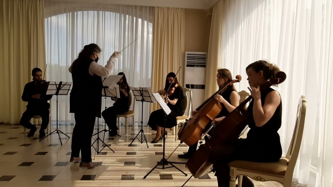 Vasilisa Gorochnaya - M. Waltz. LIVE impromptu premier performance by Cadenza Perfecta