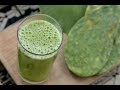 Agua fresca de nopal con hoja santa y limón sin azúcar