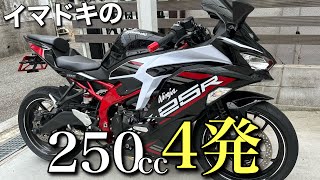 Ninja ZX-25R SE】について閉店後にビール片手に喋ってみた