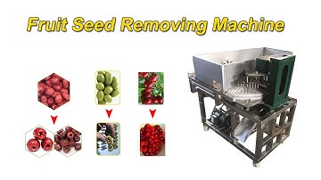 Medjool Dates Jujube Cherry Pitting Machine | Fruit Seed Removing Machine